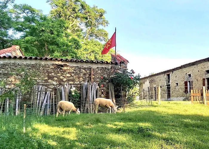 En Pascot - 190 M2 Pour 6 Personnes - Ideal Familles Et Amis - 3 Et 2 Salles De Bain - Billard, Jardin, Barbecue Et Bibliotheque - A 10 Min De Villefranche, Nailloux Et Du Canal Du Midi
