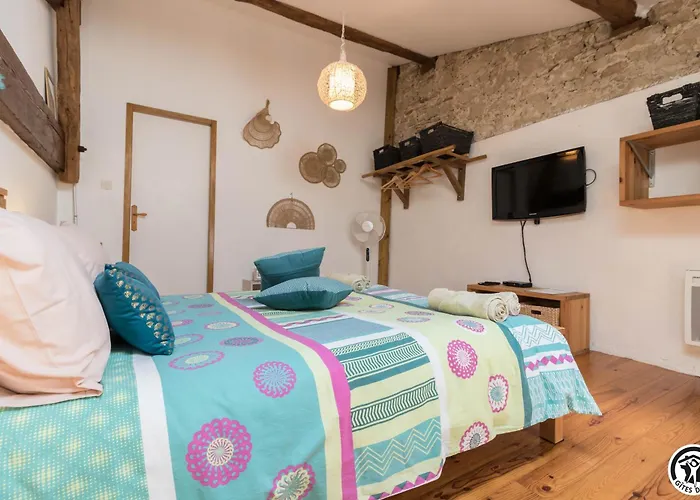 En Pascot - 190 M2 Pour 6 Personnes - Ideal Familles Et Amis - 3 Et 2 Salles De Bain - Billard, Jardin, Barbecue Et Bibliotheque - A 10 Min De Villefranche, Nailloux Et Du Canal Du Midi Tatil Evi