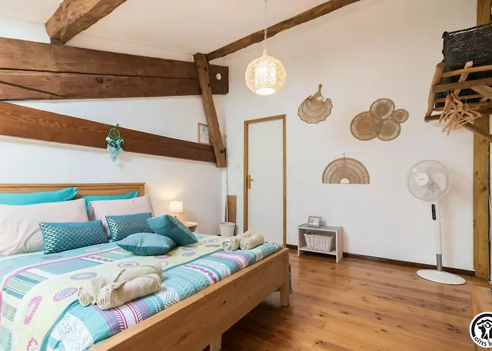 En Pascot - 190 M2 Pour 6 Personnes - Ideal Familles Et Amis - 3 Et 2 Salles De Bain - Billard, Jardin, Barbecue Et Bibliotheque - A 10 Min De Villefranche, Nailloux Et Du Canal Du Midi *