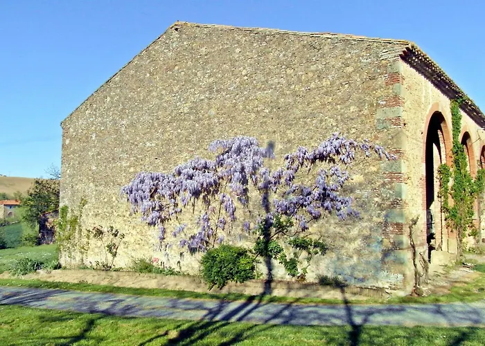 En Pascot - 190 M2 Pour 6 Personnes - Ideal Familles Et Amis - 3 Et 2 Salles De Bain - Billard, Jardin, Barbecue Et Bibliotheque - A 10 Min De Villefranche, Nailloux Et Du Canal Du Midi Tatil Evi *