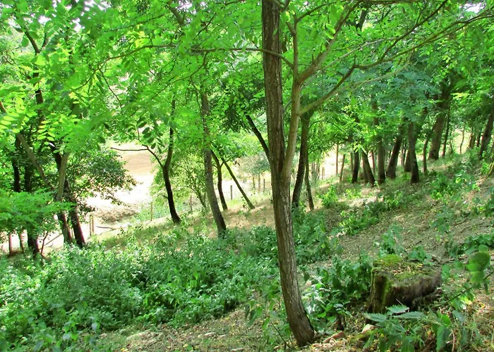En Pascot - 190 M2 Pour 6 Personnes - Ideal Familles Et Amis - 3 Et 2 Salles De Bain - Billard, Jardin, Barbecue Et Bibliotheque - A 10 Min De Villefranche, Nailloux Et Du Canal Du Midi Tatil Evi Lagarde (Haute-Garonne)