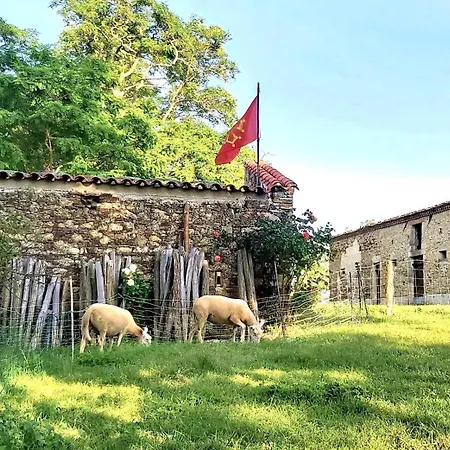 En Pascot - 190 M2 Pour 6 Personnes - Ideal Familles Et Amis - 3 Et 2 Salles De Bain - Billard, Jardin, Barbecue Et Bibliotheque - A 10 Min De Villefranche, Nailloux Et Du Canal Du Midi