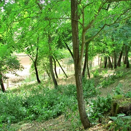 En Pascot - 190 M2 Pour 6 Personnes - Ideal Familles Et Amis - 3 Et 2 Salles De Bain - Billard, Jardin, Barbecue Et Bibliotheque - A 10 Min De Villefranche, Nailloux Et Du Canal Du Midi Дом отдыха Lagarde (Haute-Garonne)